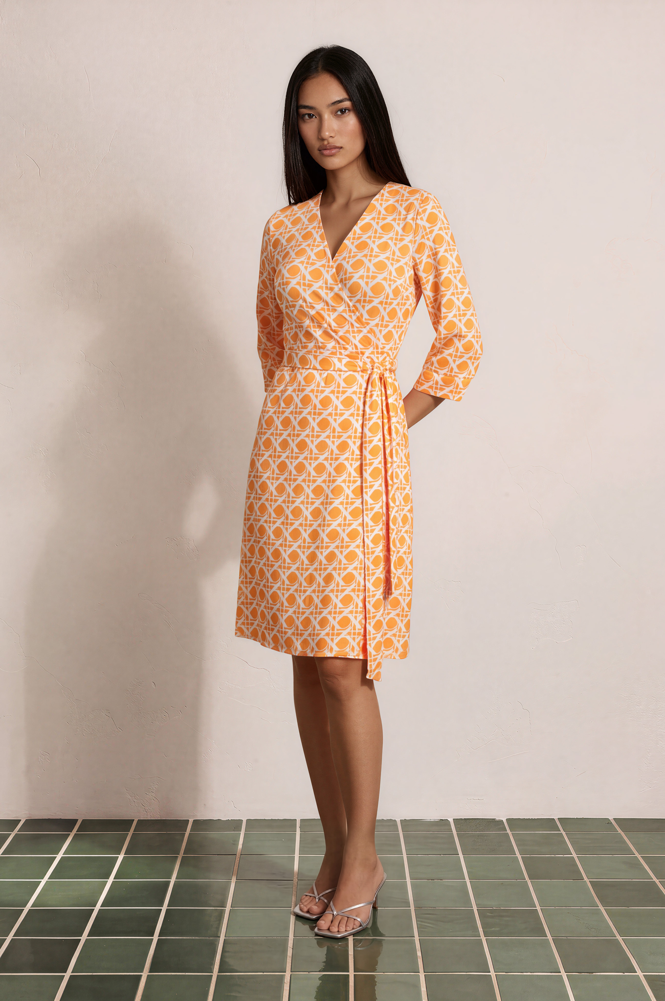 Ray Wrap Dress