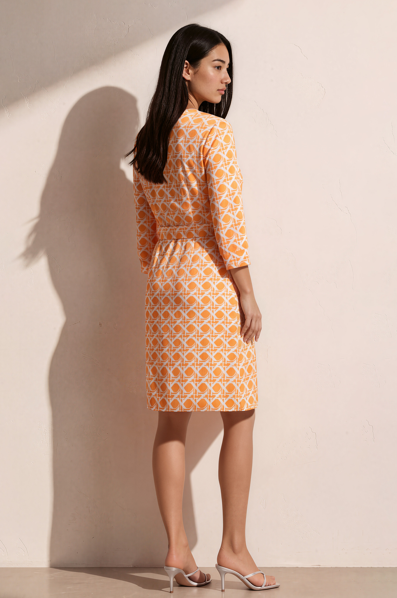 Ray Wrap Dress
