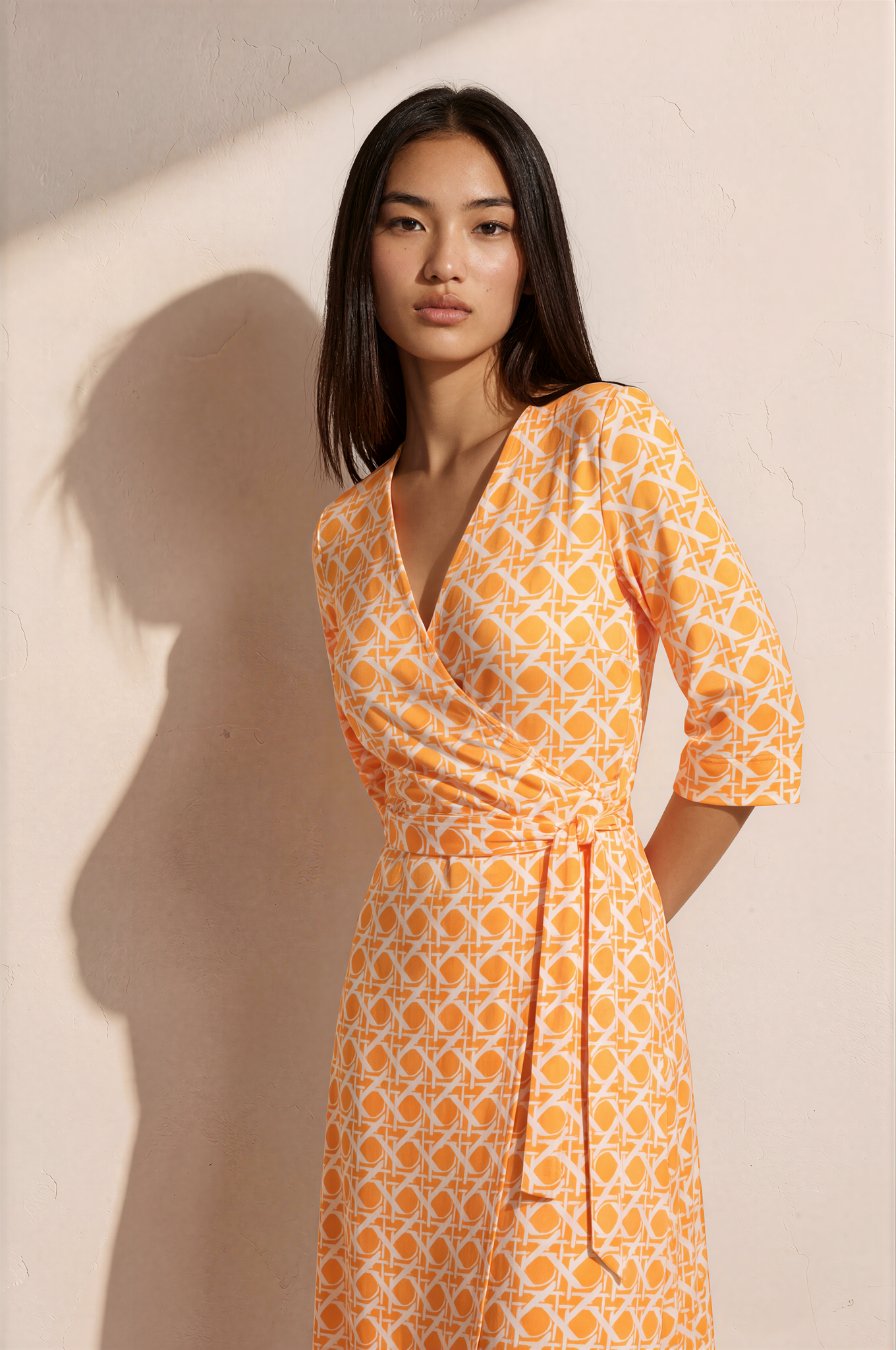 Ray Wrap Dress