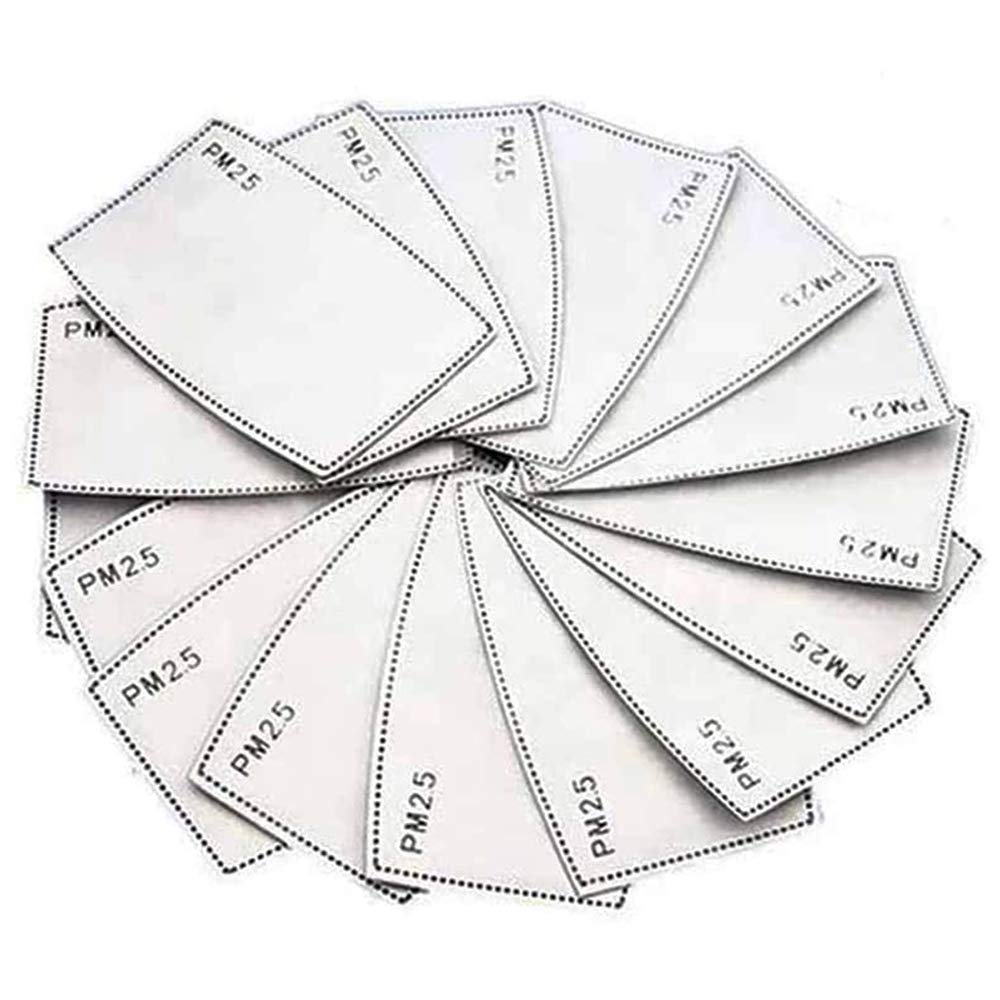 PM2.5 Filters Disposable Mask Inserts (Pack of 10)